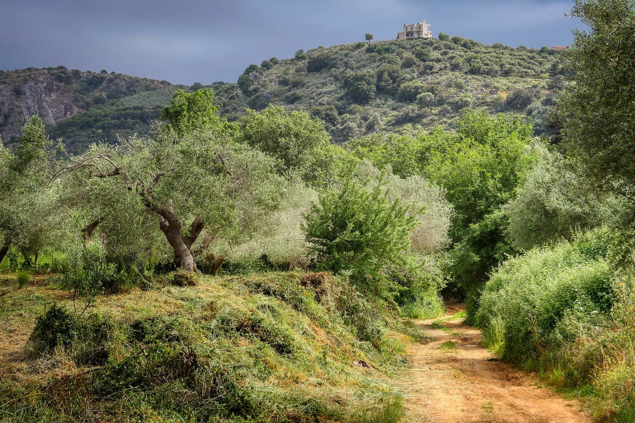 Kreta voor natuurliefhebbers: wandelen door de spectaculaire kloven
